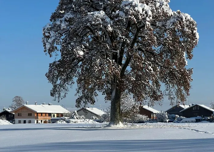 Goldbichl Апартаменты